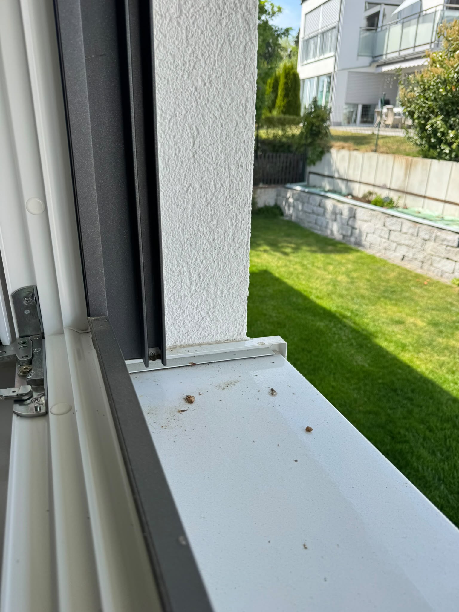 Blick über die Dächer durch ein frisch gereinigtes Fenster